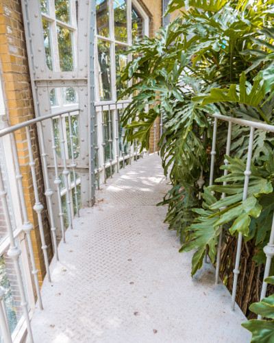 Palm Greenhouse in the Hortus Botanicus, Amsterdam