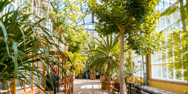 Hortus Botanicus in Amsterdam, the Netherlands