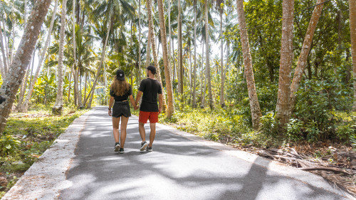 Palm tree road in Nusa Penida, Bali, Indonesia