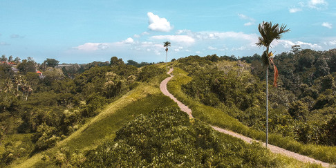 Campuhan Ridge Walk in Ubud, Bali, Indonesia