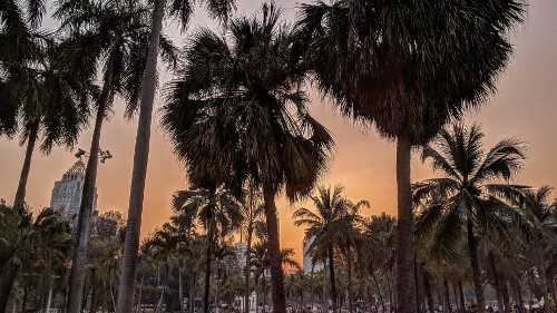 Lumphini Park in Bangkok, Thailand