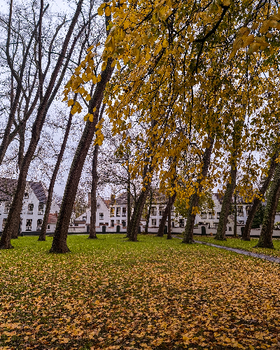 The Princely Beguinage Ten Wijngaarde in Bruges, Belgium