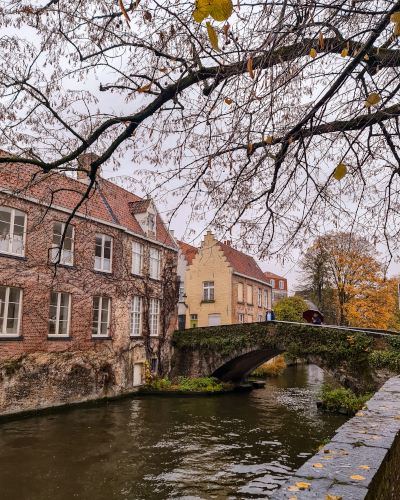 Groenerei in Bruges, Belgium