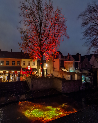 Light Experience Trail in Bruges, Belgium