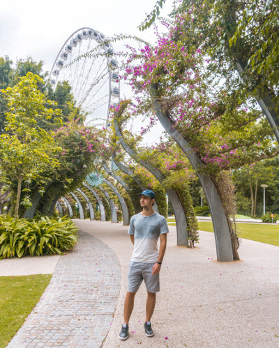 View of the Wheel of Brisbane from the South Bank Parklands in Brisbane, Australia