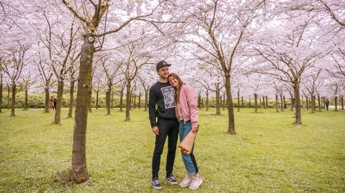 Taking photos at the Cherry Blossom Park in the Amsterdam Forest