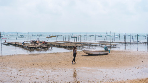 Oyster Farm in Grand Piquey, Archachon Bay, South West France