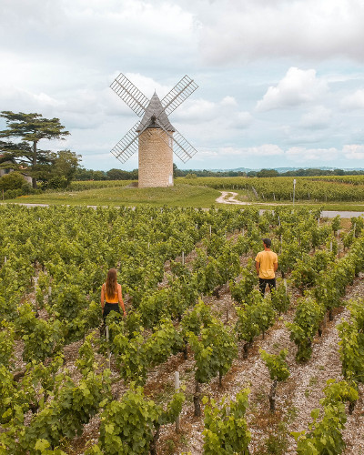 Windmill and vineyards in Lamarque, South West France