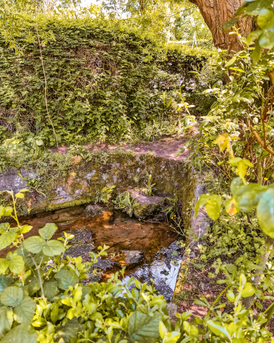 Source of the Veules River, Normandy, France