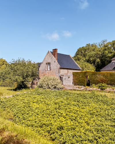 Watercress in Veules-les-Roses, Normandy, France