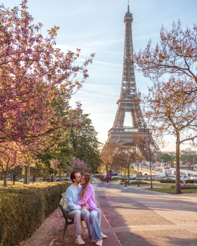 Cherry blossoms in Jardins du Trocadéro in Paris, France