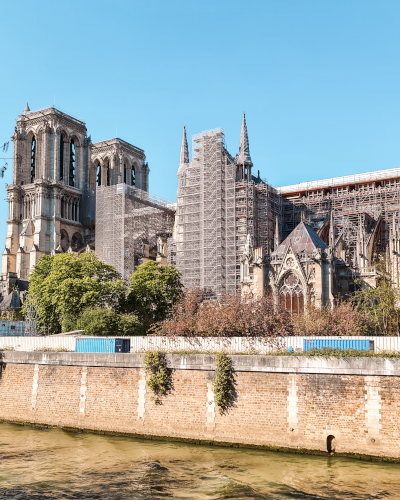 Cherry blossoms at the Notre-Dame in Paris, France