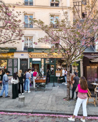 Cherry blossoms at the Shakespeare and Company Bookstore in Paris, France