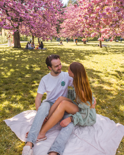 Cherry blossoms in Parc de Sceaux near Paris, France