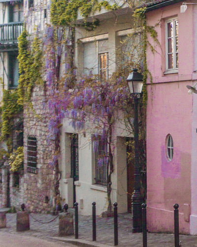 Wisteria Photo Spot next to La Maison Rose in Paris, France