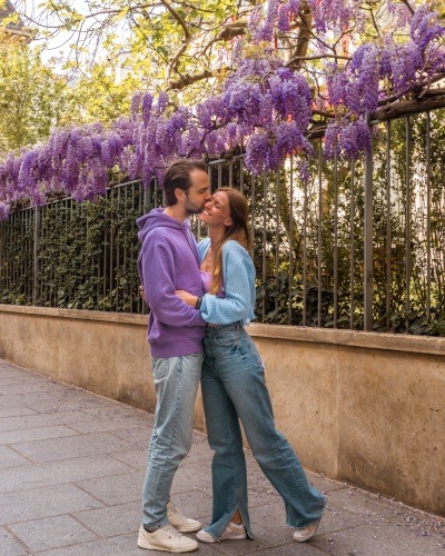 Wisteria Photo Spot at Maison Européenne de la Photographie in Paris, France