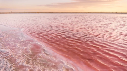 Pink salt lakes at Salin de Giraud in the South of France