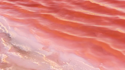 Pink salt lakes at Salin de Giraud in the South of France