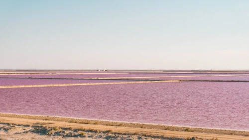 Pink salt lakes at Salin de Giraud in the South of France