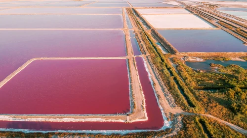 Pink salt lakes at Salin de Giraud in the South of France