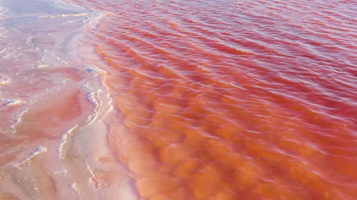 Pink salt lakes at Salin de Giraud in the South of France