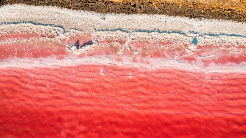 Directions to the pink salt lakes at Salin de Giraud in the South of France