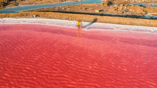 Pink salt lakes at Salin de Giraud in the South of France