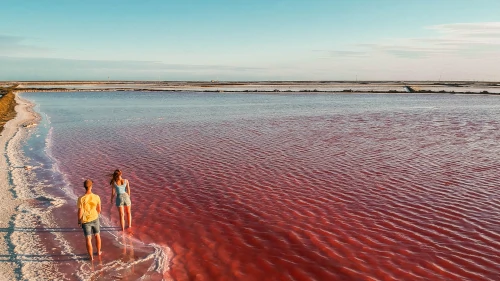 Pink salt lakes at Salin de Giraud in the South of France