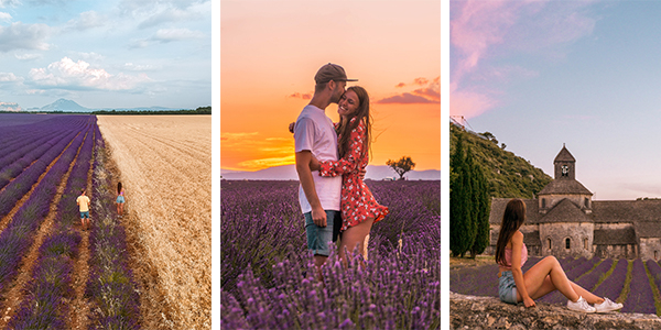 The Best Lavender Fields in Provence