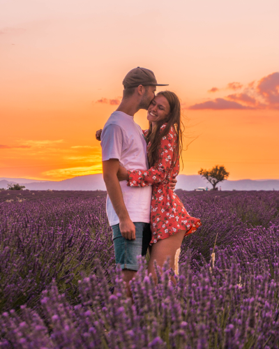 Lavandes Angelvin lavender field in Provence, France