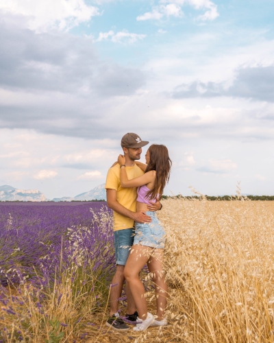 Lavender field at the Valensole Plateau in Provence, France