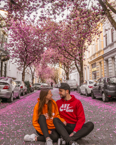 Cherry blossoms at the Heerstrasse in Bonn, Germany