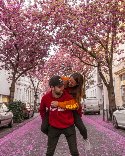 Cherry blossoms at the Heerstrasse in Bonn, Germany