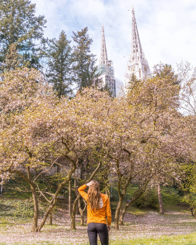 Flowers in Zagreb, Croatia