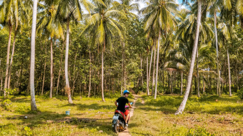 Exploring Koh Yoa Yai, Thailand by scooter