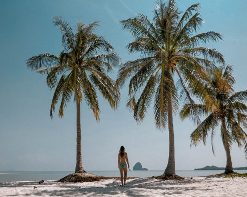 Palm trees at the beach in Koh Yao Yai, Thailand