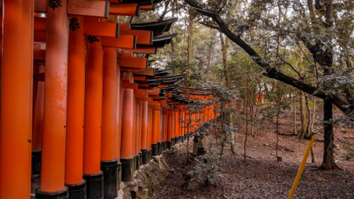 Fushimi Inari Taisha shrine in Kyoto, Japan