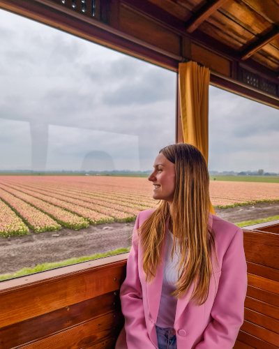 Exploring the Tulip Fields by Historic Steam Tram, Museumstoomtram Hoorn, the Netherlands