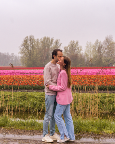 Exploring the Tulip Fields by Historic Steam Tram, Museumstoomtram Hoorn, the Netherlands