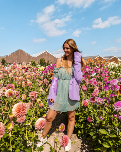 Dahlias at ILoveDahlia Flower Farm in the Netherlands