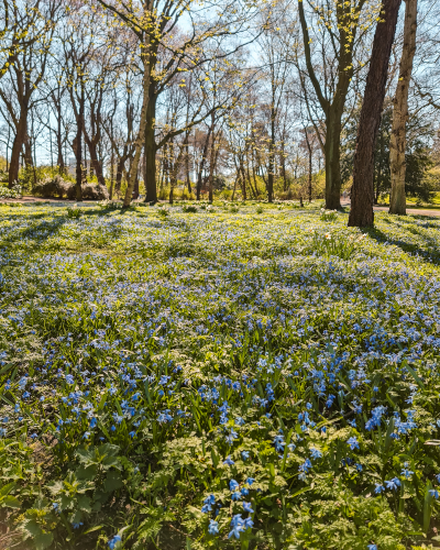 Spring in Het Park in Rotterdam, the Netherlands