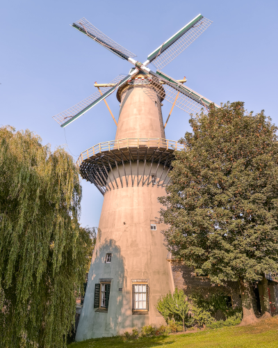 Windmill De Drie Koornbloemen in Schiedam, the Netherlands