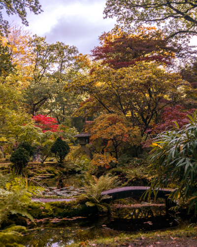 Japanese Garden in The Hague, the Netherlands