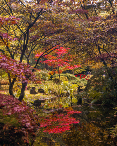 Japanese Garden in The Hague, the Netherlands