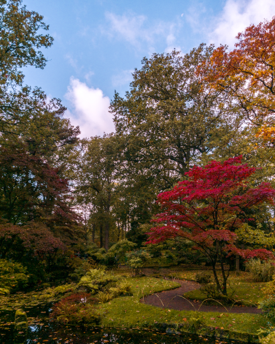 Japanese Garden in The Hague, the Netherlands