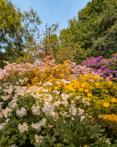 Landgoed Clingendael in The Hague, the Netherlands