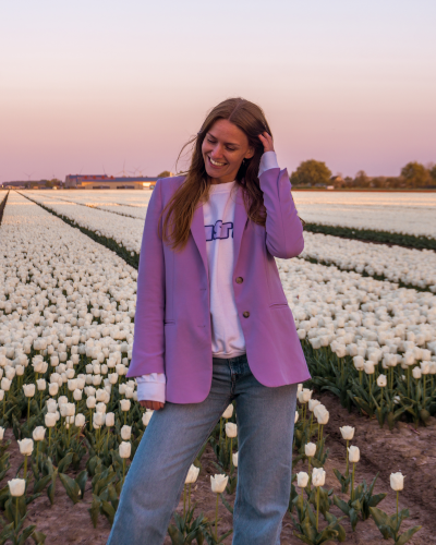 Tulip Fields in Goeree-Overflakkee, the Netherlands