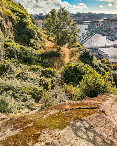 Photo spot of Porto in Vila Nova de Gaia, Portugal