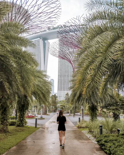 Singapore Supertree at the Gardens by the Bay