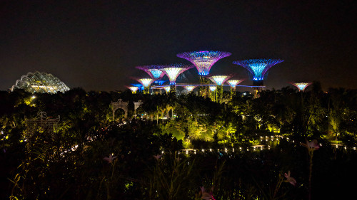 Singapore Gardens by the Bay at Night